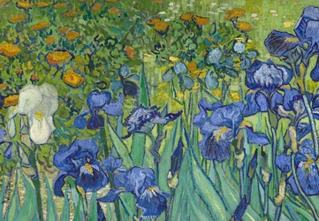 Iris, 1889 (détail)